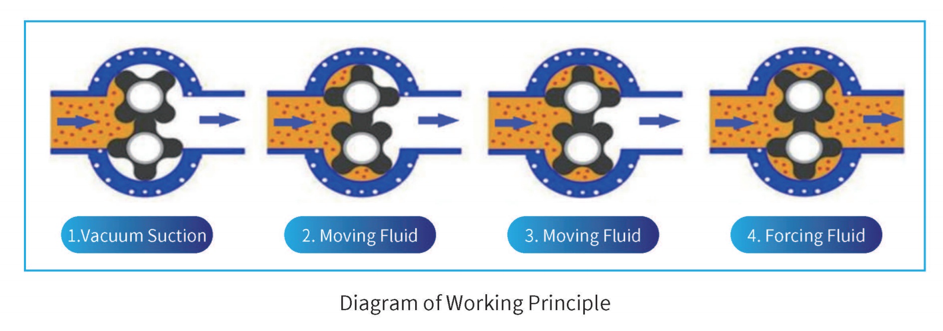 Rotary Lobe Pump working principel.jpg