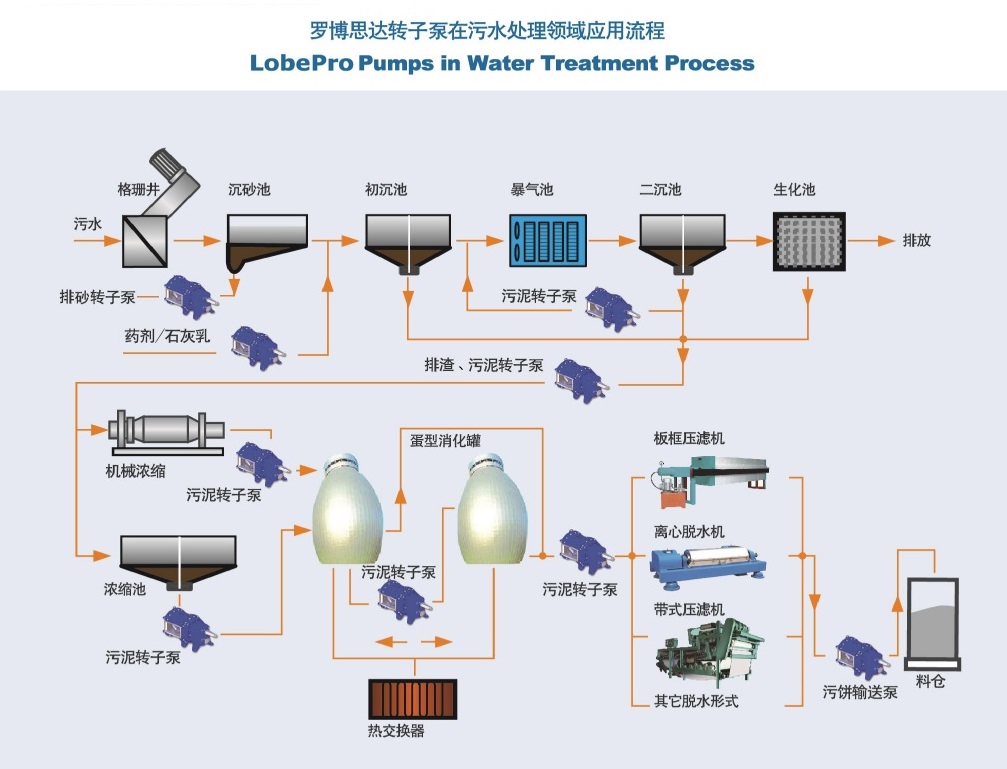 污水厂各工艺段转子泵.jpg
